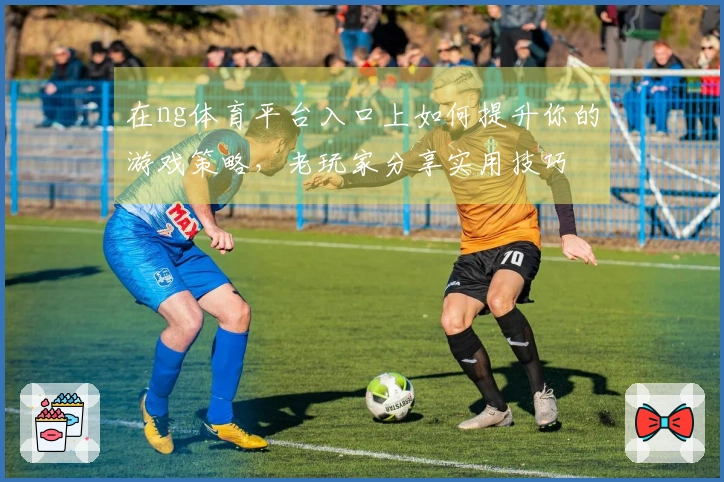 在ng体育平台入口上如何提升你的游戏策略,老玩家分享实用技巧