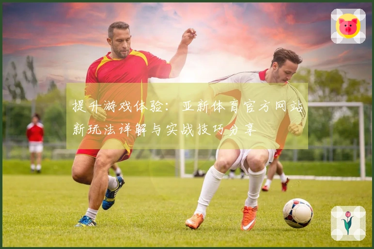 提升游戏体验：亚新体育官方网站新玩法详解与实战技巧分享