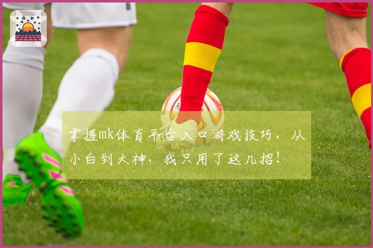 掌握mk体育平台入口游戏技巧，从小白到大神，我只用了这几招！